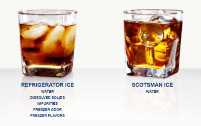 Scotsman Ice vs Refrigerator Ice Comparison